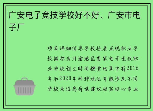 广安电子竞技学校好不好、广安市电子厂